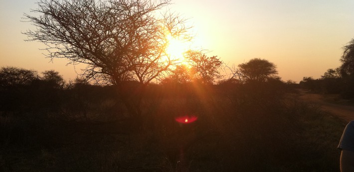 Sundown in the bush