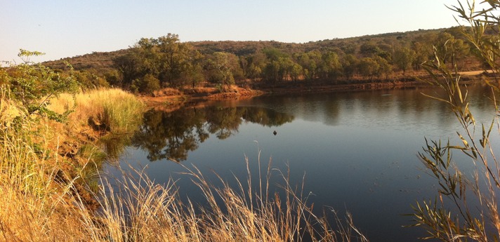 Bushveld with lake