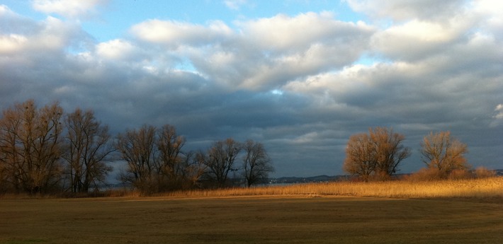 2011-12-29 15.42.35