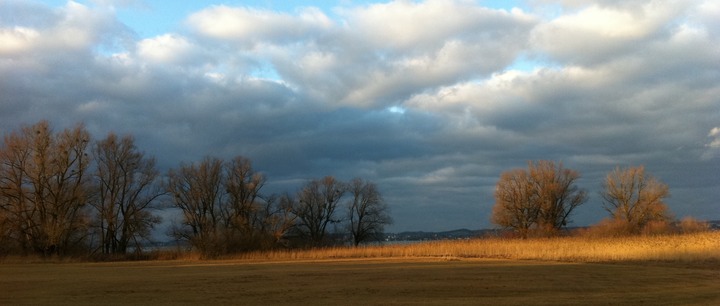 2011-12-29 15.42.35